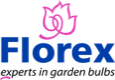 Florex